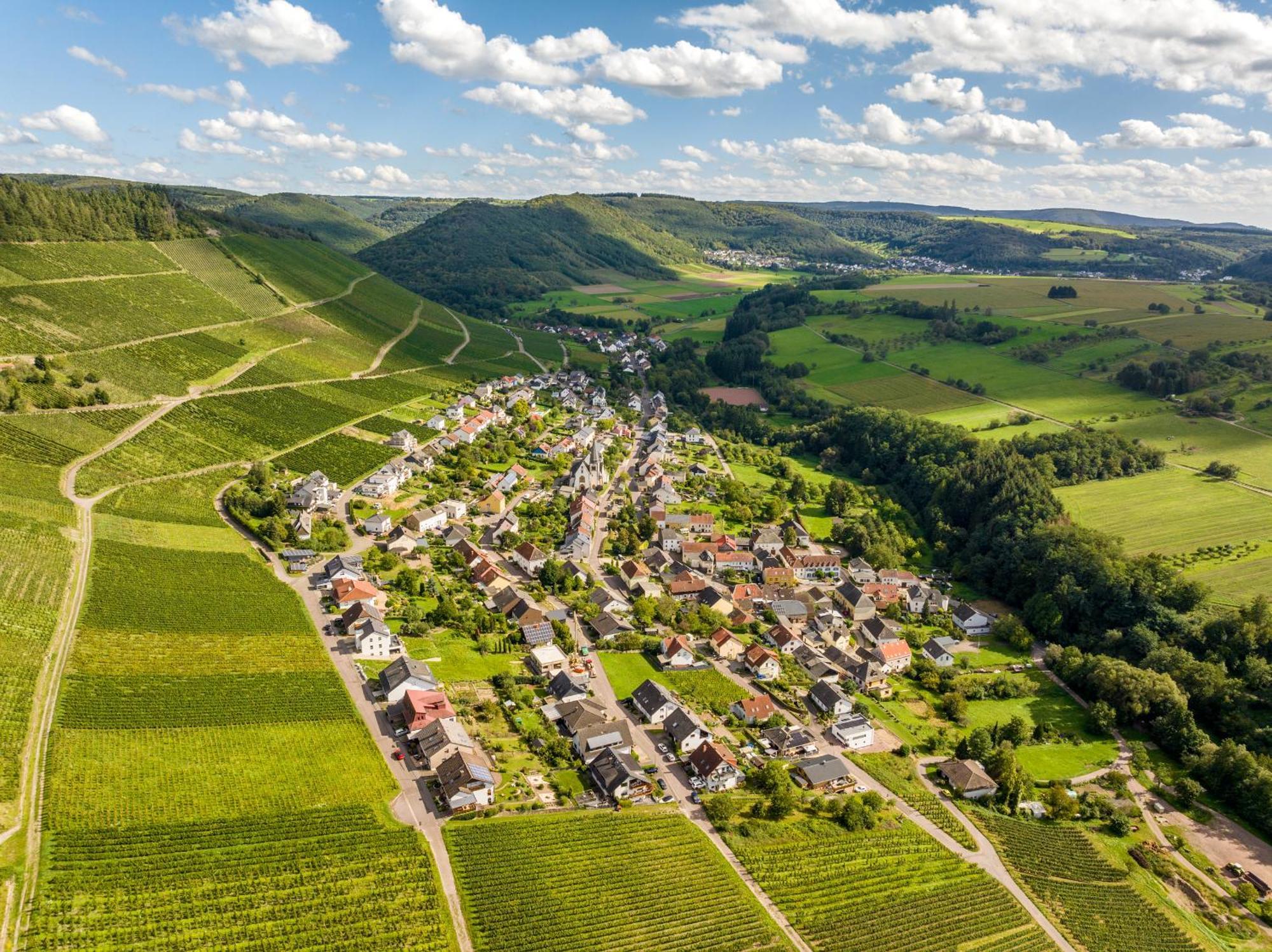 Weinhotel Restaurant Klostermuehle Ockfen Esterno foto