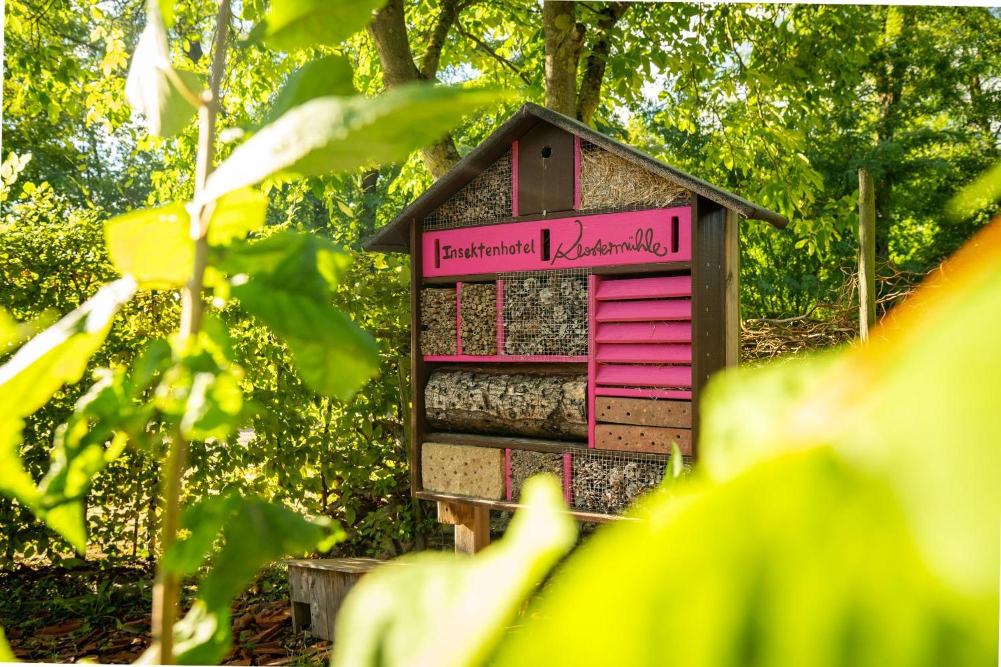 Weinhotel Restaurant Klostermuehle Ockfen Esterno foto